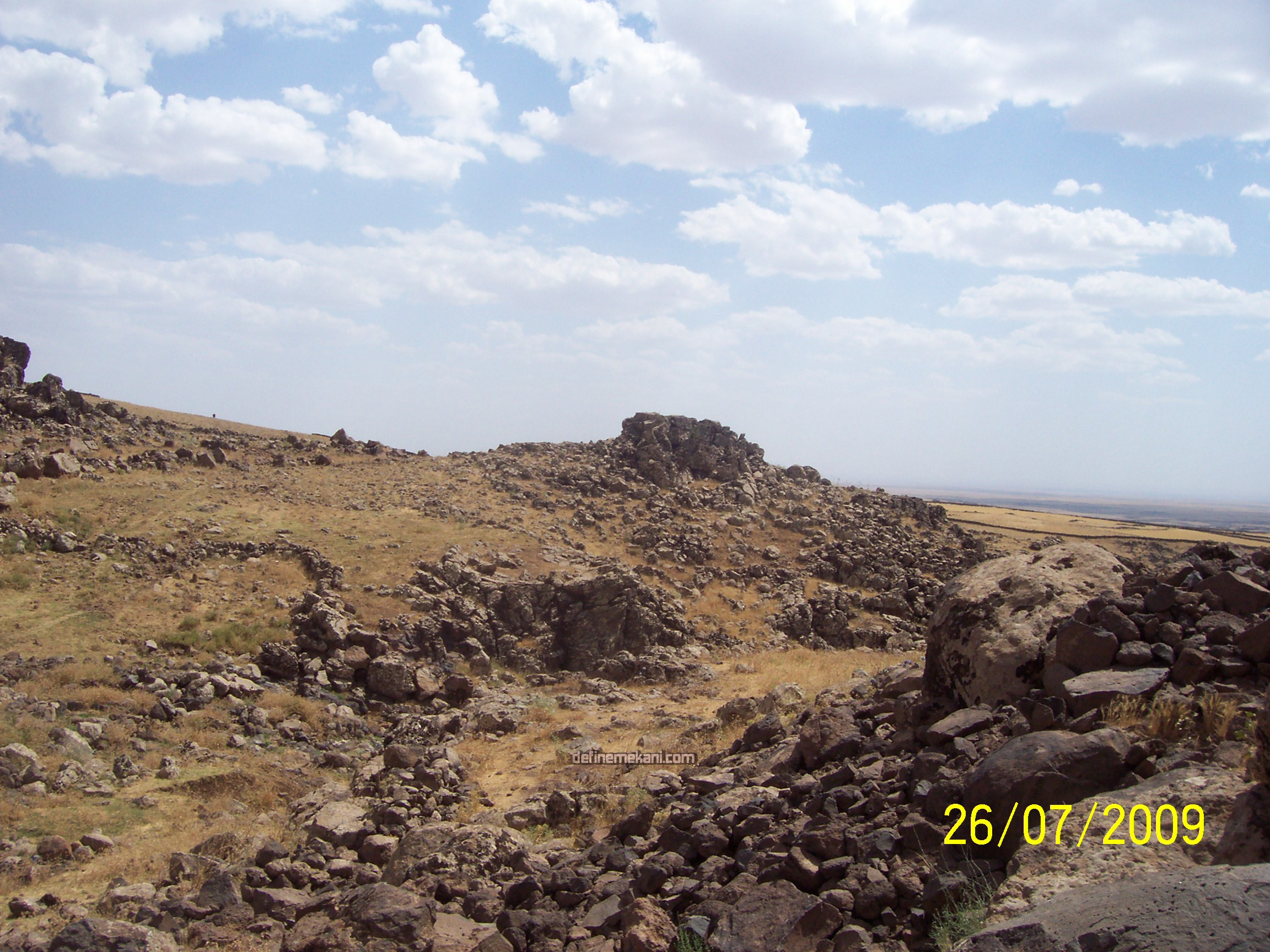 100_7020.JPG