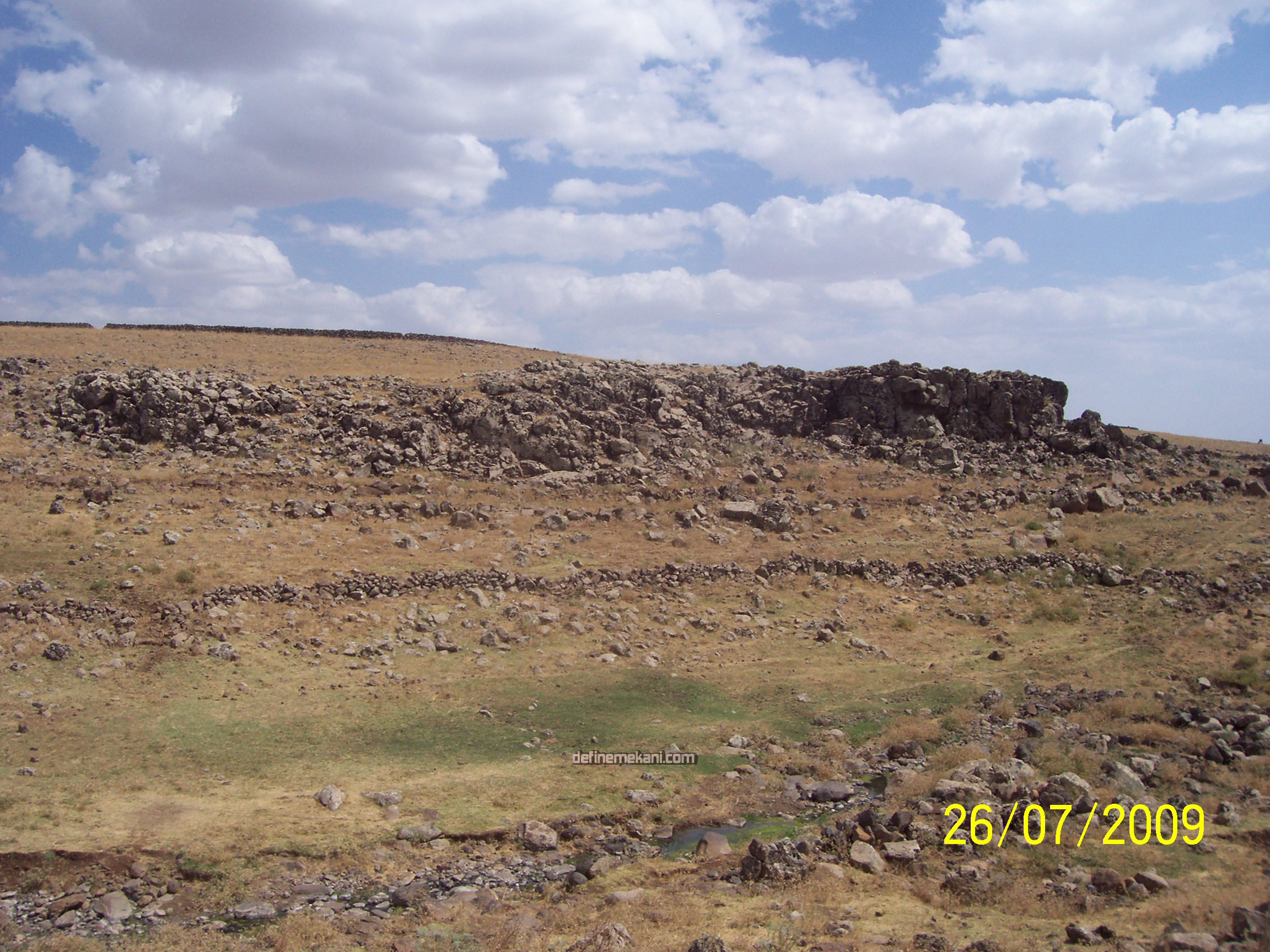 100_7022.JPG
