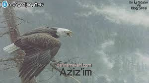 1754395228628.png