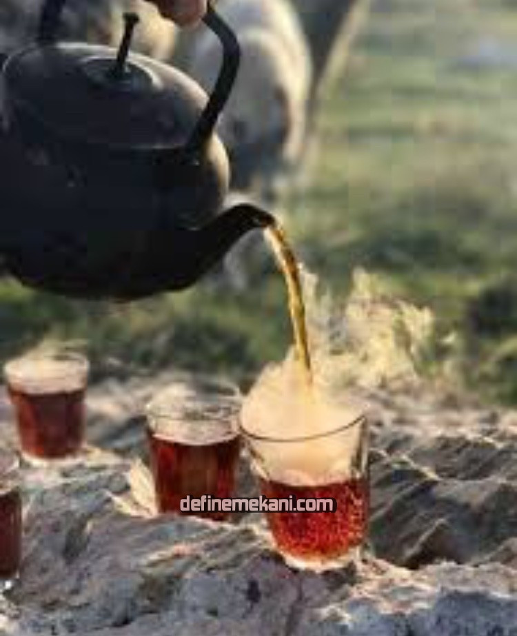 17B5251D-3A07-447E-B051-BBB07B1BDC2B.jpeg