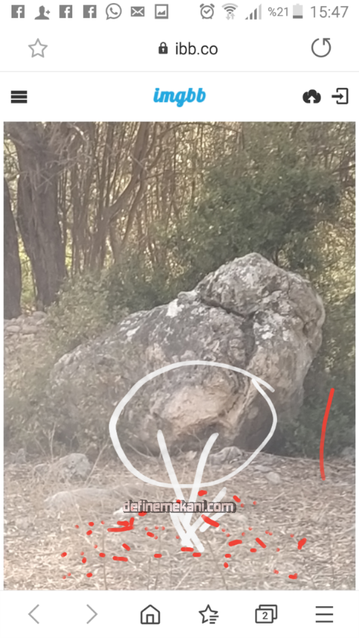 2020-10-28 15.48.51.png