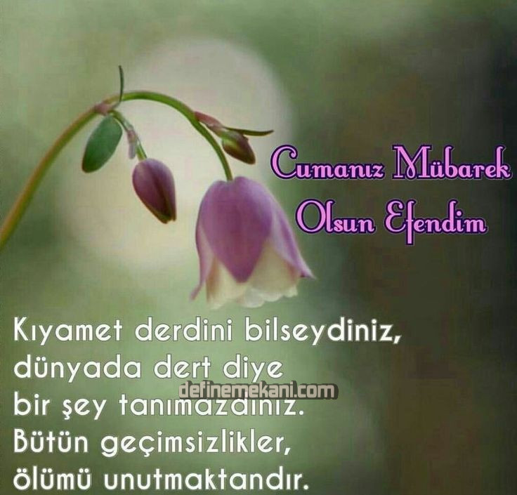 880b4a6eeb8c48784cbe2831d6e822b7.jpg