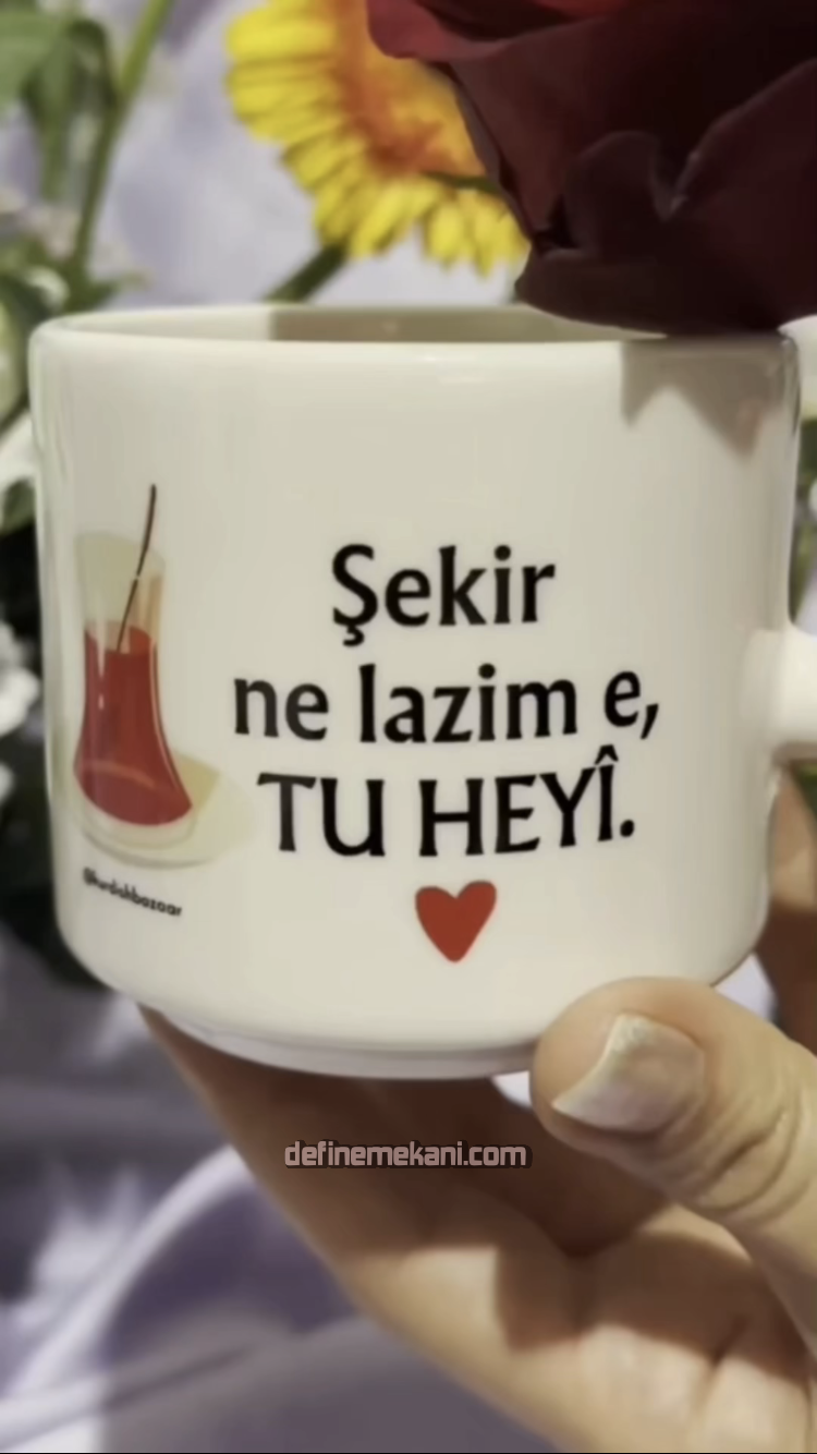 AFBB8C7C-EBAC-48CE-8662-088AE841828C.png