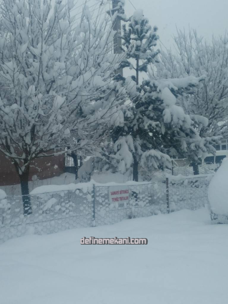IMG_20170126_100608.jpg