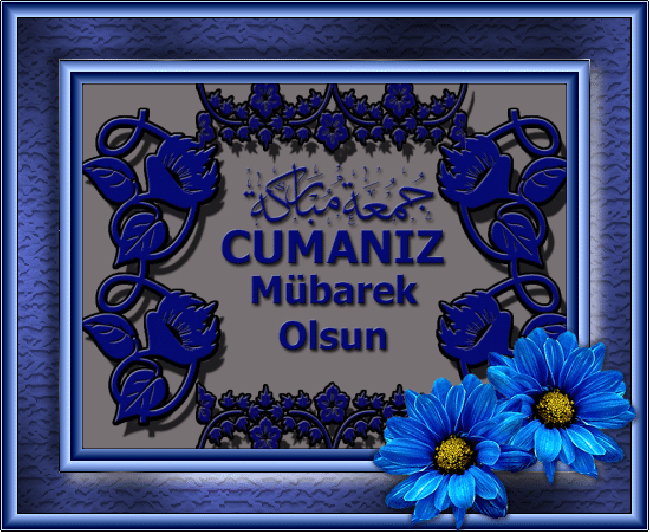 oie_1362849INMV2rwM.gif