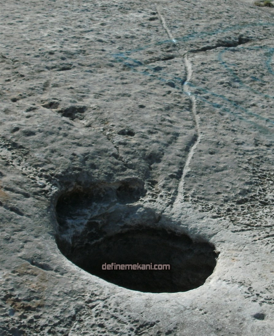 SANY0005 (893 x 1097).jpg