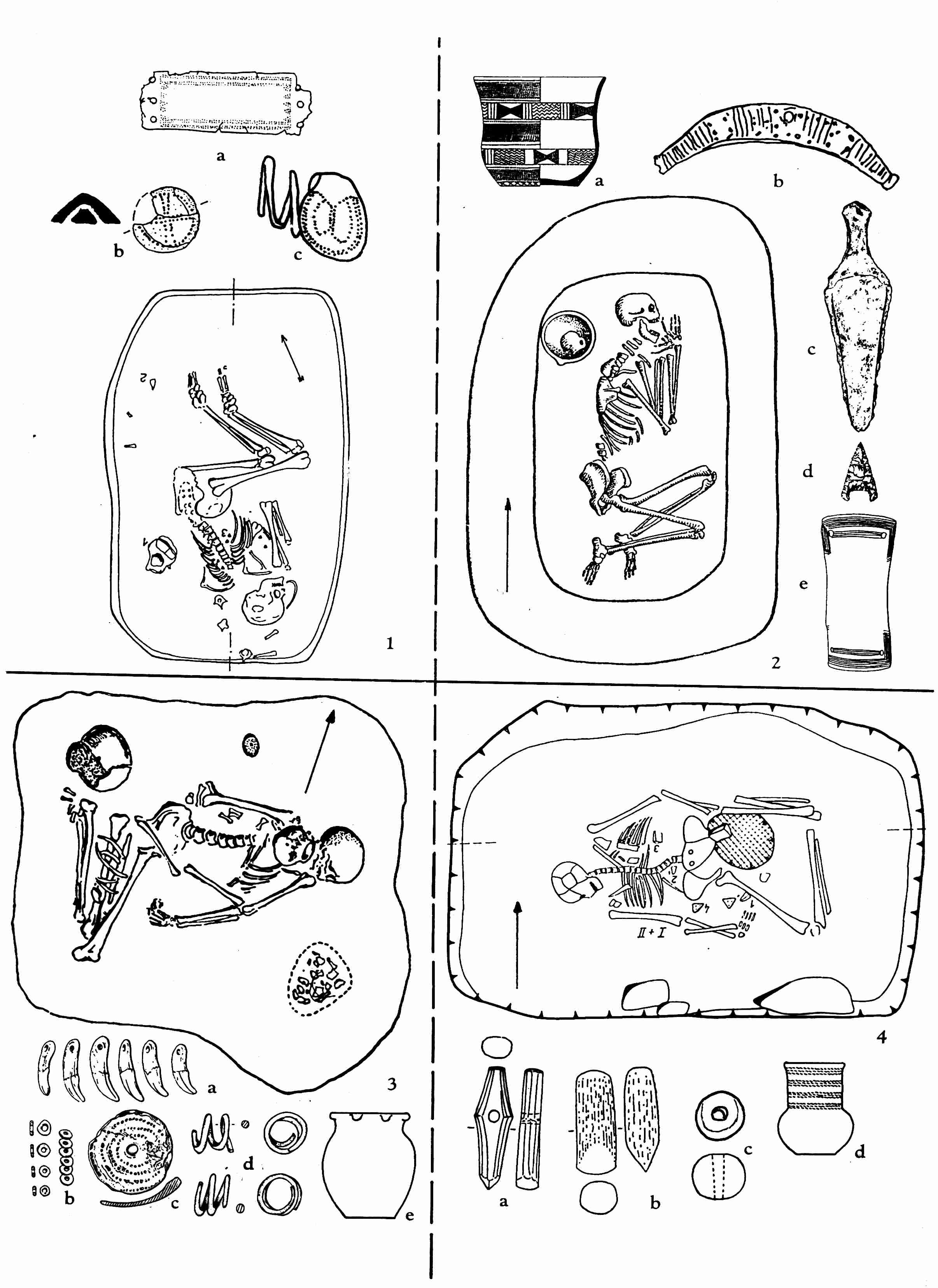 TurekdetiFig.5.jpg