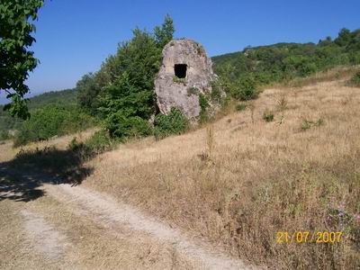 gul-pinari11.jpg