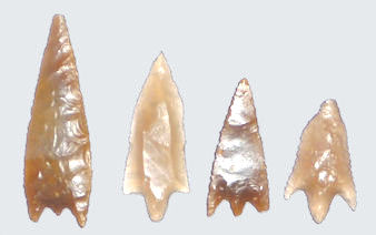 arrows19.jpg