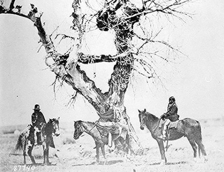 Tree+burial+of+Ogala+Sioux.jpg