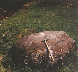 o16b.jpg