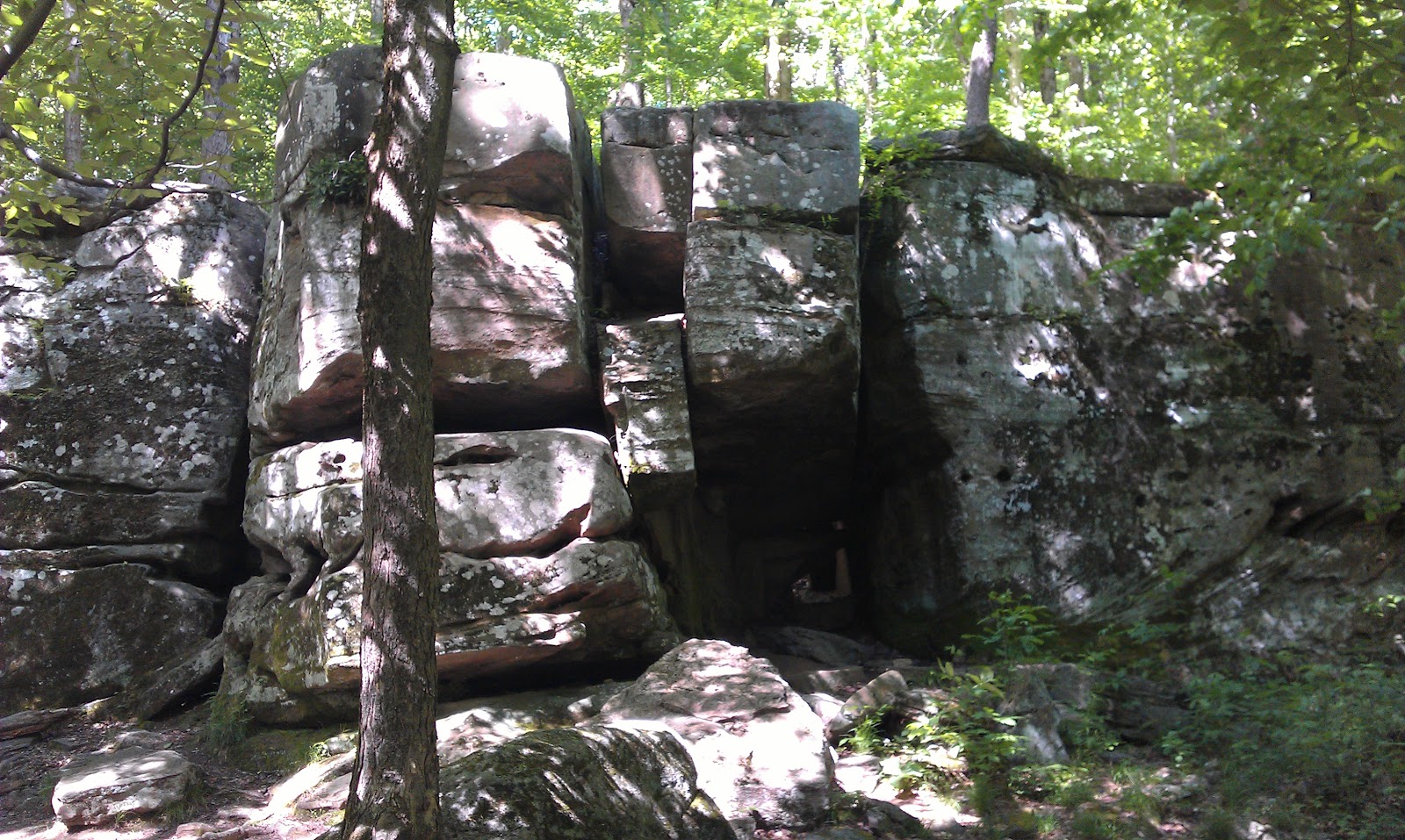 Allegany+State+Park,+New+York,+2012+-+Bear+Cave+Trail+III.jpg