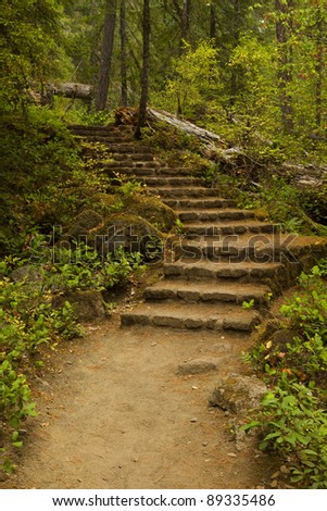 stock-photo-stone-steps-on-a-hiking-trail-89335486.jpg
