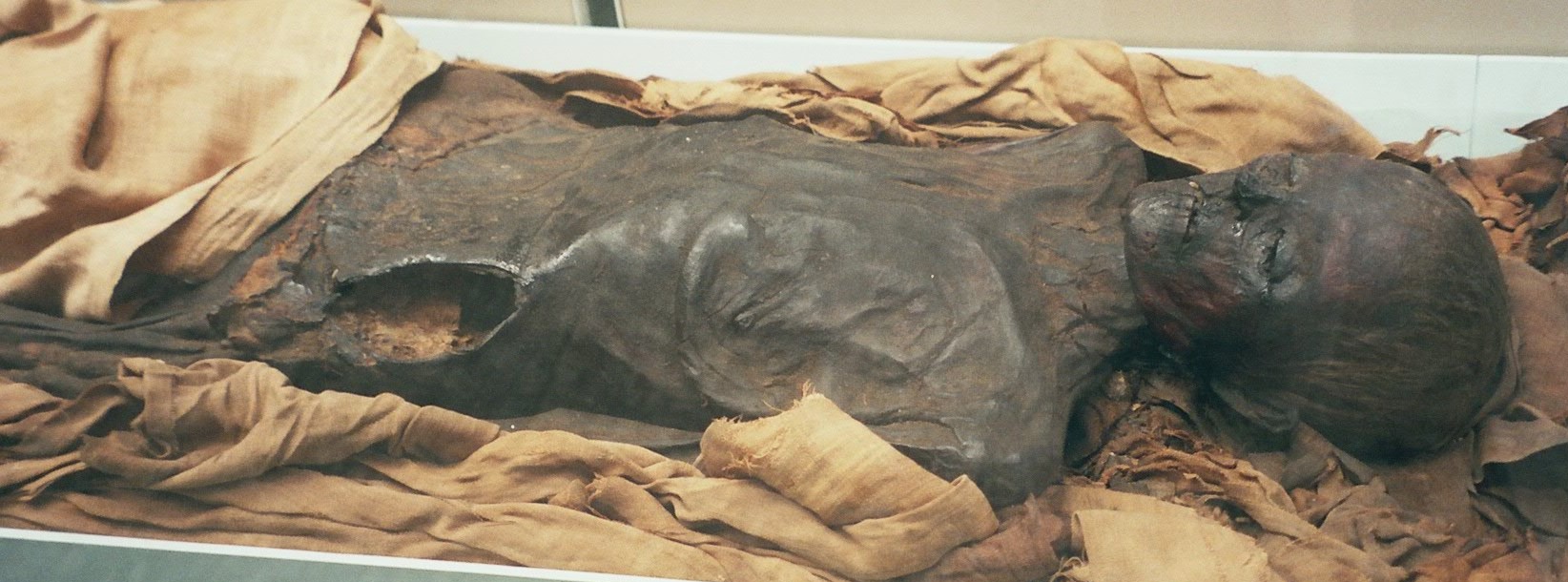 Mummy_501594_fh000031.jpg
