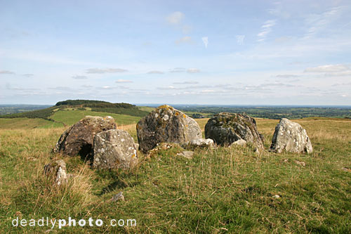 IMG_2762_loughcrew_cairn_v.jpg