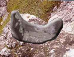 eyer.jpg