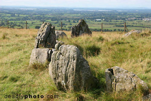 IMG_2791_loughcrew_cairn_s.jpg
