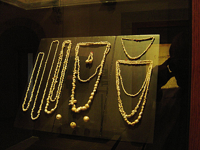 Dsc00128b.jpg