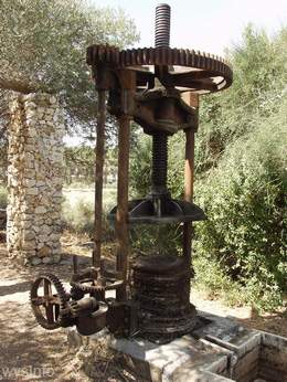 0_press_for%20olive_oil_production_b_pr_260_1.JPG