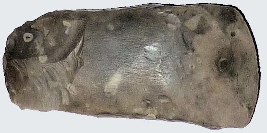 am-flint.jpg