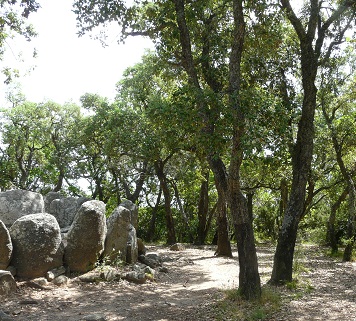 cork-trees-and-dolmen.jpg