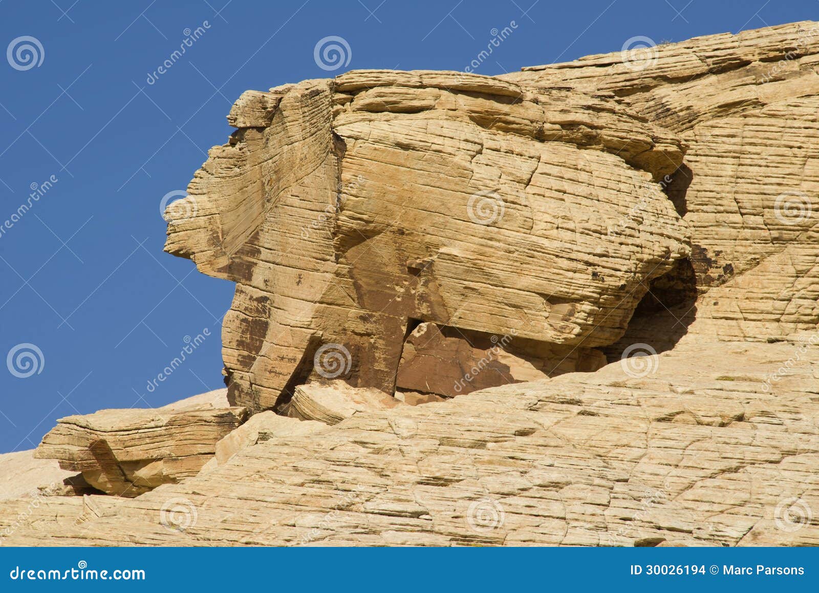 rabbit-shaped-rock-formation-red-rock-canyon-nevada-30026194.jpg