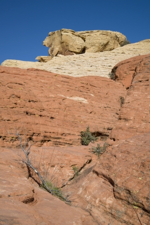 18704815-a-rabbit-shaped-rock-formation-at-red-rock-canyon-nevada.jpg
