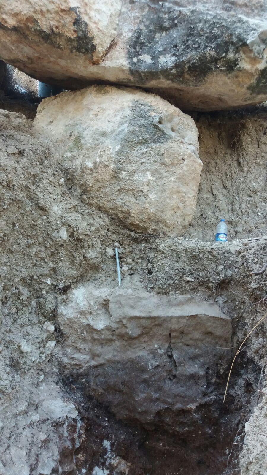 8dp5dk.jpg